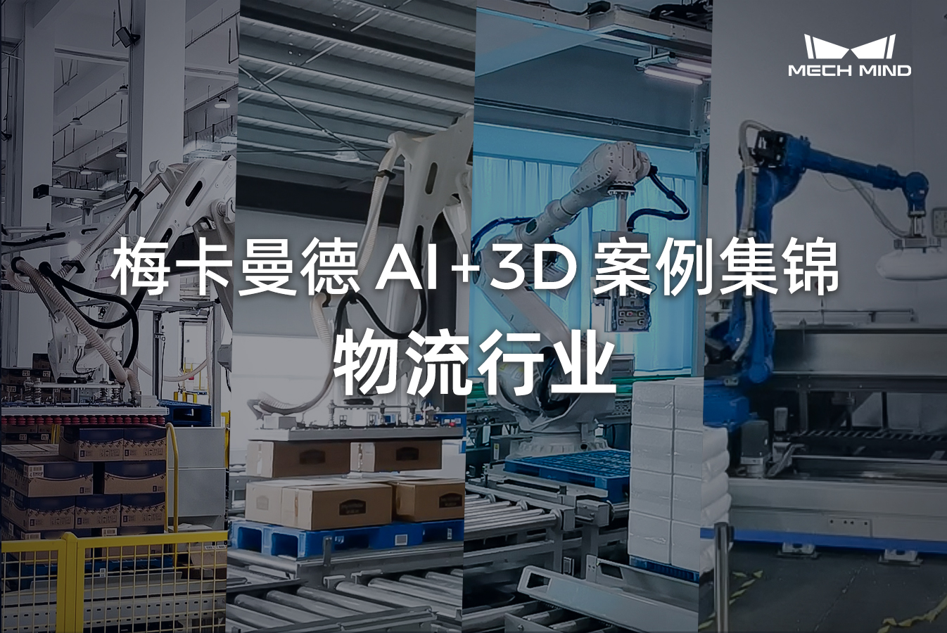 梅卡曼德AI+3D案例集锦 | 物流行业